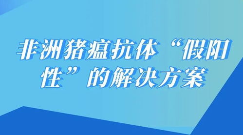 陈家锃 非洲猪瘟抗体 假阳性 的解决方案